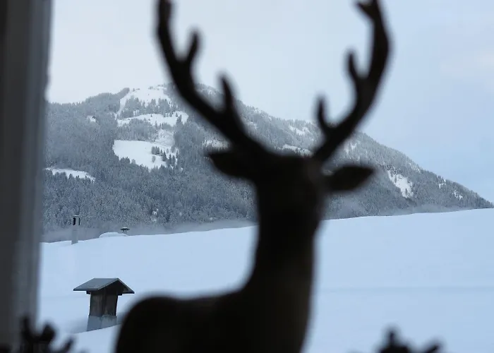 Haus Brugger Apartment