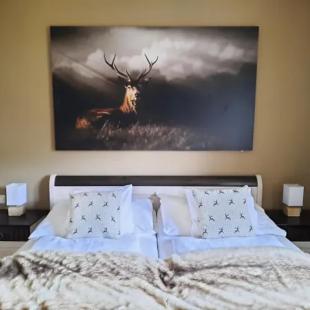 Appartement Haus Brugger Kitzbühel
